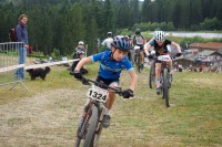 Farin im Rennen